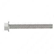 Hex Screw