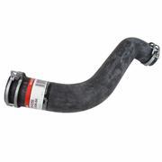 Radiator Coolant Hose - Upper