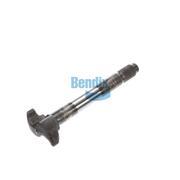 Camshaft