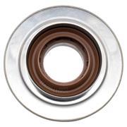 Differential Pinion Seal Oil (Base)