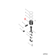 3912049 Image1