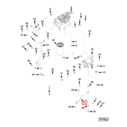 3688316 Image1