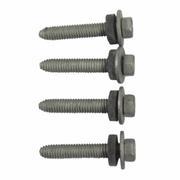 Screw and Washer - M6 X 33