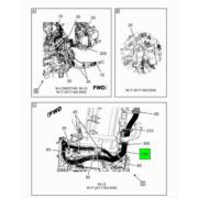 Figure 1BKMG