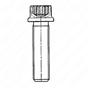 Engine Screw