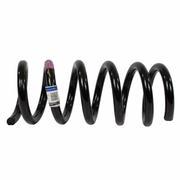 Coil Spring - Left, Right, Rear