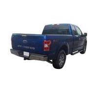 F-150 2021-2024 Black Platinum Lettering Tailgate Badge