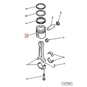 3081266 Image1