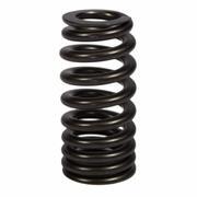 Engine Valve Spring - 6.2L