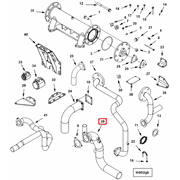 4924930 Image1