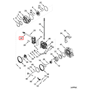 3787595 Image1