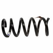 Coil Spring - Left, Right, Rear