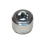 Pipe Plug
