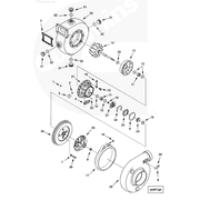 3596959 Image1