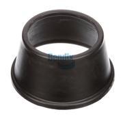 Diaphragm