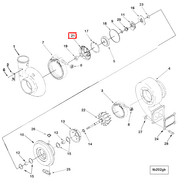 4035468 Image1