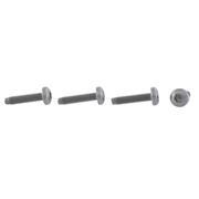 Bolt - M6 X 25 (Shelby)