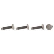 Screw - M8 X 25 1.5L (AT)
