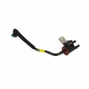 Hose Fuel VAPOUR - 5.0L
