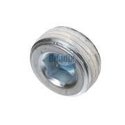 Pipe Plug