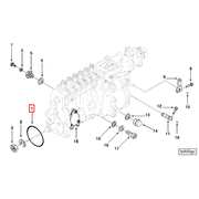 3915581 Image1