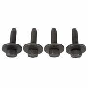 Screw And Lockwasher