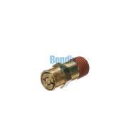 Safety Valve