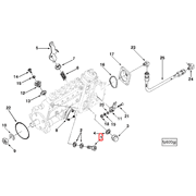 3921163 Image1