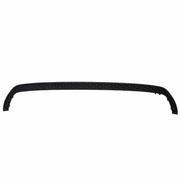 Bumper Trim Insert - Rear
