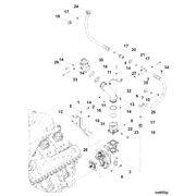 4334440 Image1