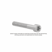 Hexagonal Screw