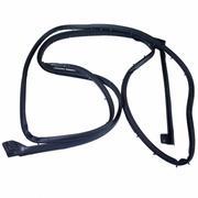 Door Seal Weatherstrip - Right, Rear