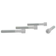 Bolt - M8 x 55MM 1.0L