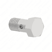 Hollow Screw N 15036 - A 6