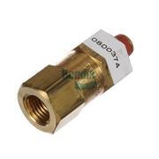 Single Check Valve