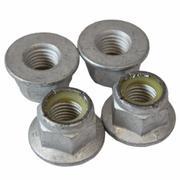 Flanged Hex Head Nut - M16 X 2.0