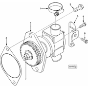 3964991 Image1