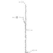 Figure 3835700C91