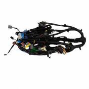 Wiring Main (6-MT)