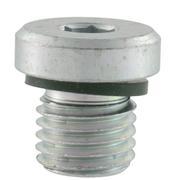 Plug Blanking Threaded (AT)