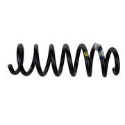Coil Spring - Front