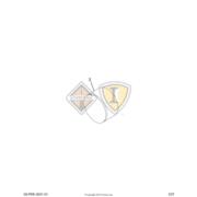 3815528C1 Image 1