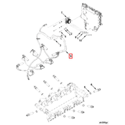 4348943 Image1