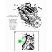 Figure 1BKMG
