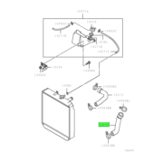 HOSE,RADIATOR,LWR 1