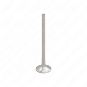 Exhaust Valve with Cylinder Head for OM904 Euro 4/5