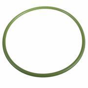 Fuel Pump Tank Seal