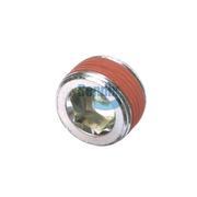 Pipe Plug