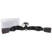 Seat Belt Receptacle Buckle - Rear