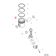3932514 Image1